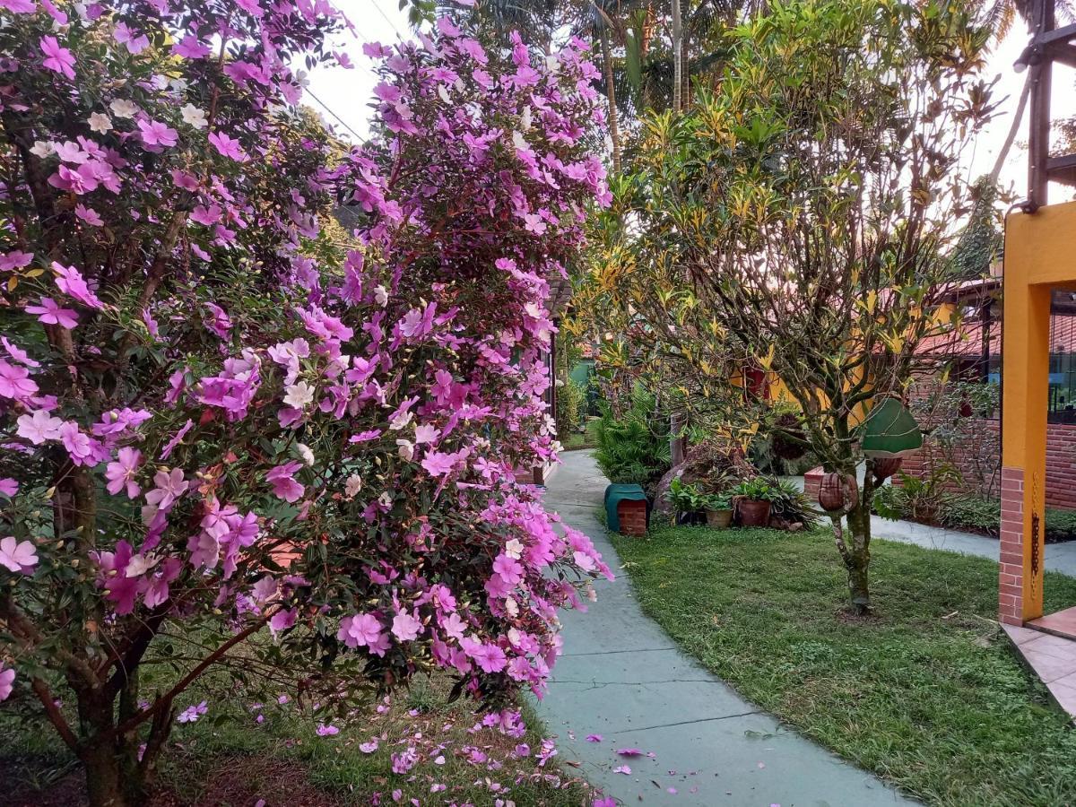 Recanto Das Flores Lofts - Ilha Grande Rj エクステリア 写真