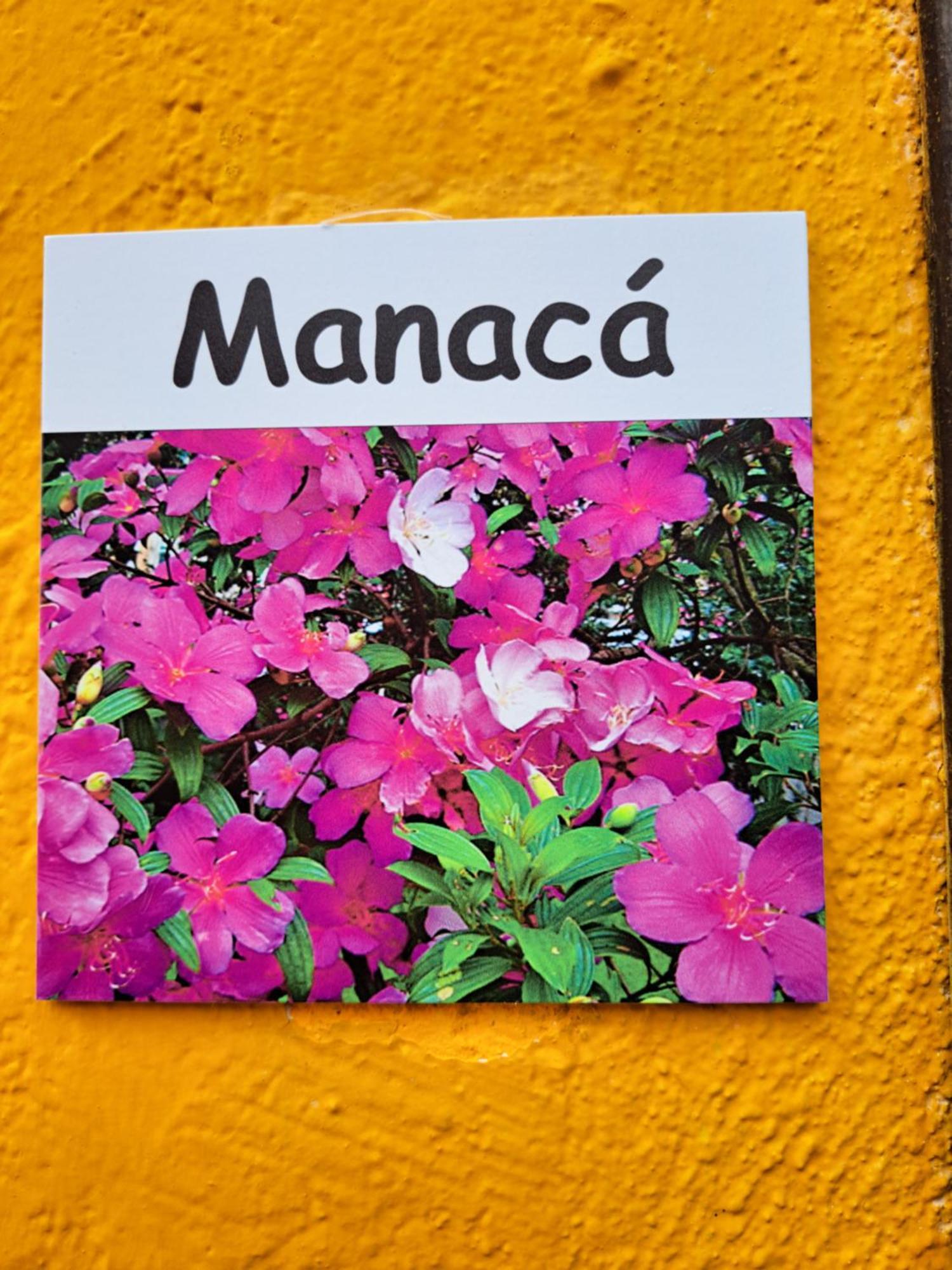 Recanto Das Flores Lofts - Ilha Grande Rj エクステリア 写真